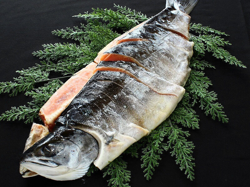 ロシア産沖獲れ鮭の姿切身（2kg前後）｜一印おさかな市場の通販